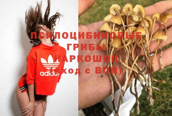 spice Нефтегорск