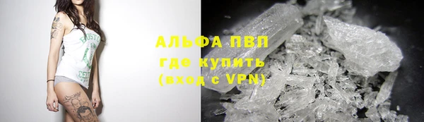 ECSTASY Новодвинск