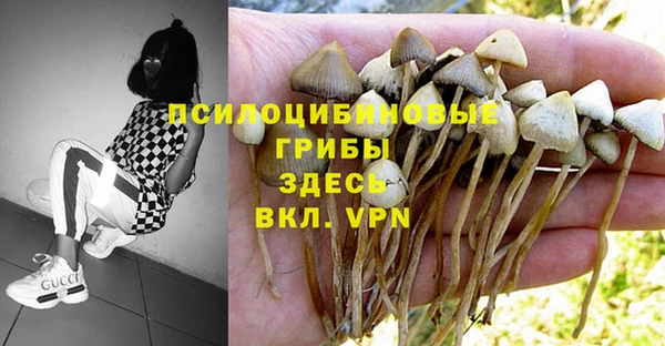 каннабис Новокубанск