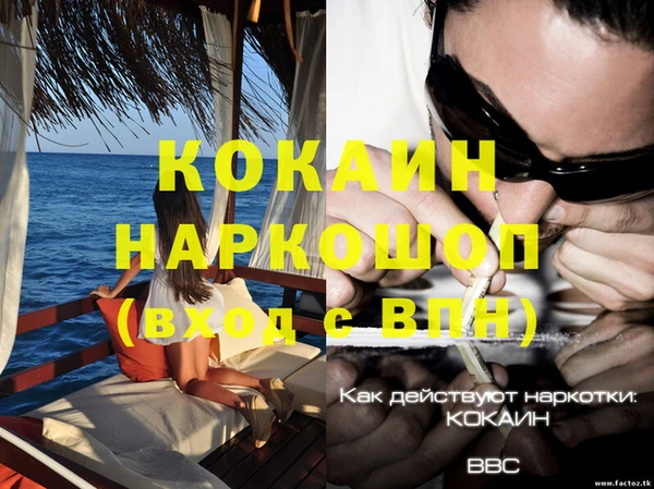 каннабис Новокубанск